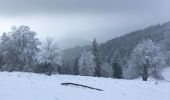 Trail Walking Soultz-Haut-Rhin - Marche du 21 Février 18 - Photo 1