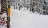 Tocht Sneeuwschoenen Léoncel - Grand Echaillon 21 02 2018 - Photo 2
