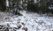 Trail Walking Taintrux - HUBERT - 22 - 02 - 2018 - Photo 19