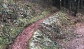Trail Walking Taintrux - HUBERT - 22 - 02 - 2018 - Photo 13