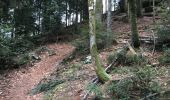 Trail Walking Taintrux - HUBERT - 22 - 02 - 2018 - Photo 11