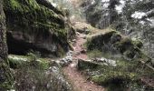 Trail Walking Taintrux - HUBERT - 22 - 02 - 2018 - Photo 6