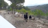 Tour Wandern Belcodène - de belcodene a badarusse - Photo 6