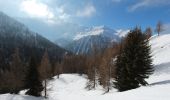 Tour Schneeschuhwandern Peisey-Nancroix - Le sanctuaire des Vernettes - Photo 2