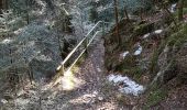 Trail Walking Plancher-les-Mines - Rando-plancher - Belfahy - Photo 4