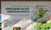 Excursión Senderismo Oud-Heverlee - Dijle - Meerdaalbos 16 km - Photo 4