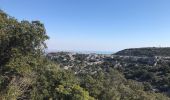 Tocht Stappen Mireval - les balcons de la Gardiole - Photo 3