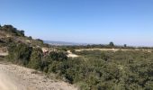 Excursión Senderismo Mireval - les balcons de la Gardiole - Photo 2