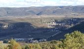 Excursión Senderismo Vogüé - Voguë - Lanas - Le Haut Serre de Vignobre - Photo 10