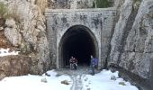 Excursión Senderismo Vogüé - Voguë - Lanas - Le Haut Serre de Vignobre - Photo 2