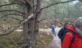 Trail Walking Larchant - SVG 180303 - Photo 17