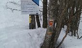 Percorso Racchette da neve Eaux-Bonnes - cabane de Bouy - Photo 2
