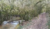 Tour Wandern Bruniquel - reprise de la marche cabeou gr46 - Photo 8