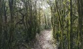 Tocht Stappen Bruniquel - reprise de la marche cabeou gr46 - Photo 2