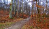 Trail Walking Vieux-Moulin - en forêt de Compiegne_10_gorge du Han_grotte des ramoneurs_chaussée Brunehaut - Photo 8