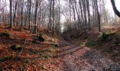Trail Walking Vieux-Moulin - en forêt de Compiegne_10_gorge du Han_grotte des ramoneurs_chaussée Brunehaut - Photo 12