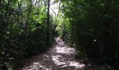 Randonnée A pied Les Trois-Îlets - Forêt Vatable et Habitation Vatable - Photo 7