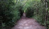 Randonnée A pied Les Trois-Îlets - Forêt Vatable et Habitation Vatable - Photo 8