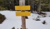 Tour Schneeschuhwandern Railleu - Maximale Col de Creu - Photo 2