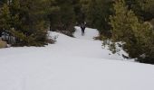Randonnée Raquettes à neige Railleu - Maximale Col de Creu - Photo 3