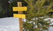Tour Schneeschuhwandern Railleu - Maximale Col de Creu - Photo 8
