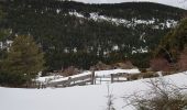 Randonnée Raquettes à neige Railleu - Maximale Col de Creu - Photo 11