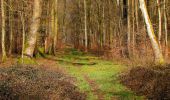 Trail Walking Longpont - en forêt de Retz_62_Longpont_carrefour des Alliés_AR - Photo 20