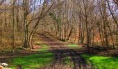 Trail Walking Longpont - en forêt de Retz_62_Longpont_carrefour des Alliés_AR - Photo 10