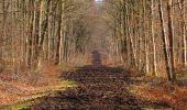 Trail Walking Longpont - en forêt de Retz_62_Longpont_carrefour des Alliés_AR - Photo 5