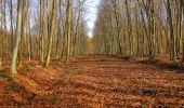 Trail Walking Longpont - en forêt de Retz_62_Longpont_carrefour des Alliés_AR - Photo 9