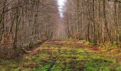 Randonnée Marche Longpont - en forêt de Retz_62_Longpont_carrefour des Alliés_AR - Photo 4