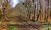 Trail Walking Longpont - en forêt de Retz_62_Longpont_carrefour des Alliés_AR - Photo 14