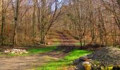 Trail Walking Longpont - en forêt de Retz_62_Longpont_carrefour des Alliés_AR - Photo 13