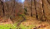 Trail On foot Longpont - en forêt de Retz_22_Longpont_Rond d'Orléans_AR - Photo 20