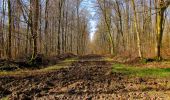 Trail Walking Longpont - en forêt de Retz_62_Longpont_carrefour des Alliés_AR - Photo 19