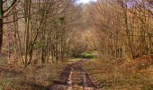 Randonnée Marche Longpont - en forêt de Retz_62_Longpont_carrefour des Alliés_AR - Photo 15