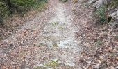 Randonnée Marche Sournia - sournia st michel - Photo 15