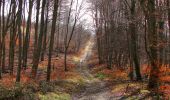 Trail Walking Saint-Jean-aux-Bois - en forêt de Compiègne_11_la landeblin_les Petits Monts - Photo 19