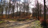 Trail Walking Saint-Jean-aux-Bois - en forêt de Compiègne_11_la landeblin_les Petits Monts - Photo 18