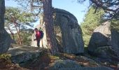 Trail Walking Fontainebleau - 180314 EnCours - Photo 10