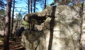 Trail Walking Fontainebleau - 180314 EnCours - Photo 6