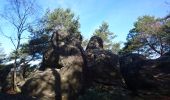 Trail Walking Fontainebleau - SVG 180314 - Photo 13