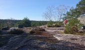 Trail Walking Fontainebleau - SVG 180314 - Photo 12