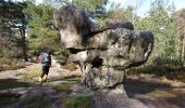Trail Walking Fontainebleau - SVG 180314 - Photo 1