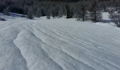 Trail Snowshoes Arvieux - Queyras étape 2 - Photo 7