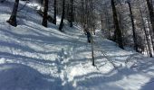 Tocht Sneeuwschoenen Arvieux - Queyras étape 2 - Photo 6