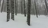 Randonnée Raquettes à neige Molines-en-Queyras - Queyras étape 4 - Photo 2