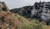 Trail Walking Rochefort-du-Gard - Ballade familliale autour des Eynavays et des falaises  - Photo 10