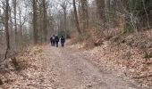 Trail Nordic walking Jalhay - la_gileppe_18_03_2018 - Photo 9