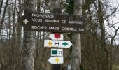 Trail Walking Saint-Hubert - MIRWART(St-Roch) - Photo 3